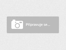 Chamaecereus hybr. PAN 17.8.27