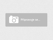 Turbinicarpus schmiedickeanus ssp. macrochele RS 283 Guerrero, SLP - 10 seeds